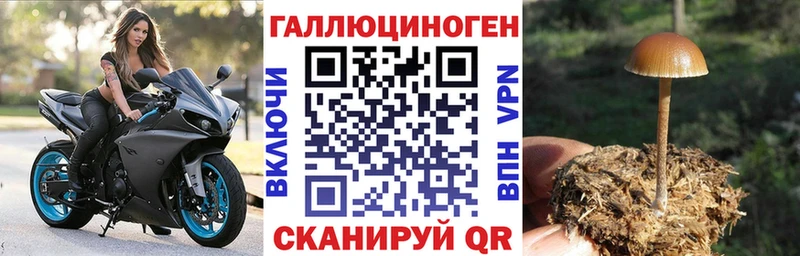 дарк нет наркотические препараты  Краснокамск  Псилоцибиновые грибы MAGIC MUSHROOMS 